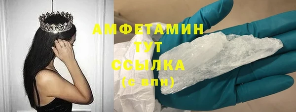 индика Волосово