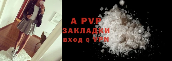 стаф Верея