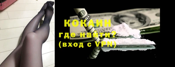 индика Волосово