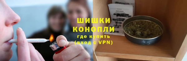 индика Волосово