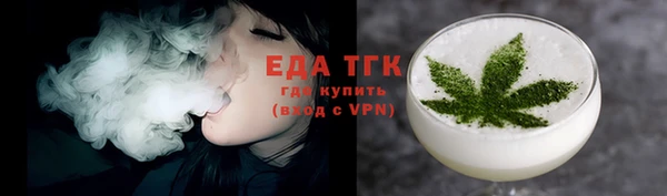 индика Волосово