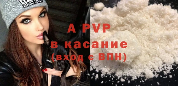 индика Волосово