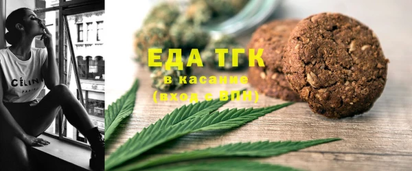 индика Волосово