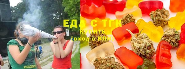 индика Тында