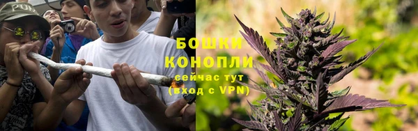 индика Волосово